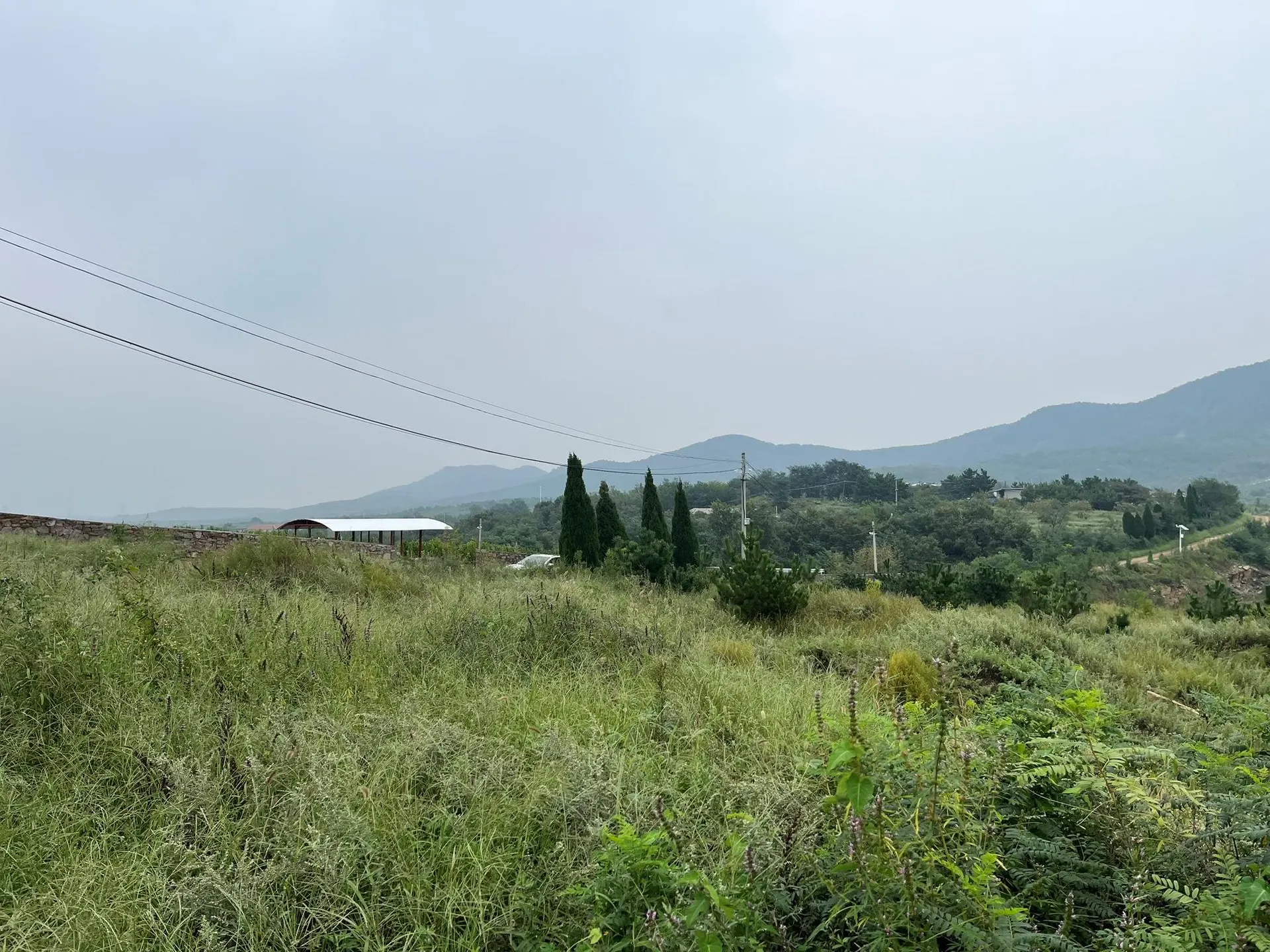 山东莱阳沃得农场建筑群 项目图片 01