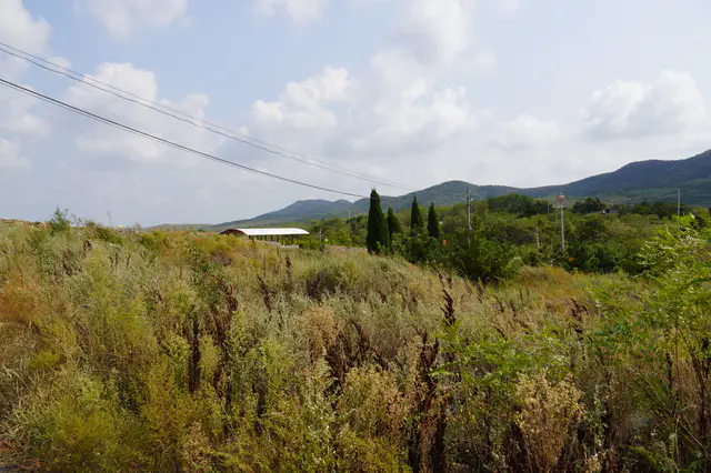 山东莱阳沃得农场建筑群